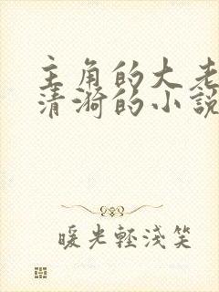 主角的大老婆叫清漪的小说