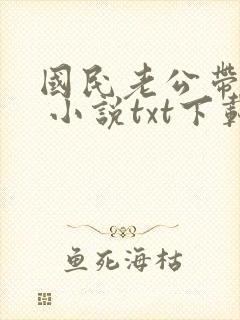 国民老公带回家 小说txt下载封面