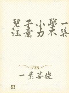 儿子小学一年级注意力不集中