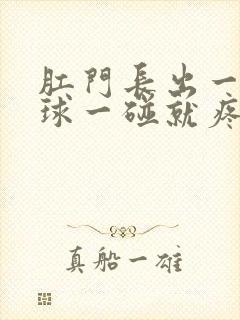 肛门长出一个肉球一碰就疼