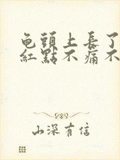 龟头上长了一颗红点不痛不痒