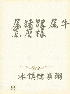 属猪跟属牛姻缘怎么样