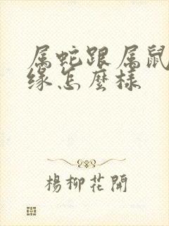 属蛇跟属鼠的姻缘怎么样