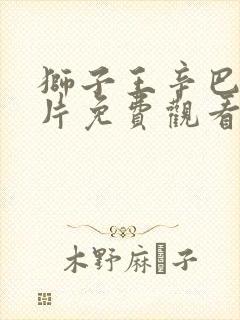 狮子王辛巴动画片免费观看