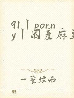 91丨porny丨国产麻豆