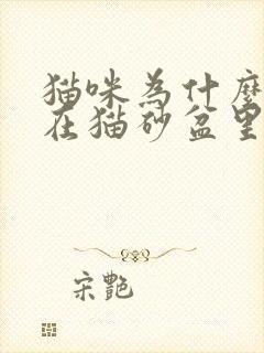 猫咪为什么不尿在猫砂盆里