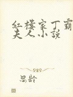 红楼家丁霸占王夫人小说