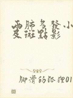 两肺多发小结节及斑点影