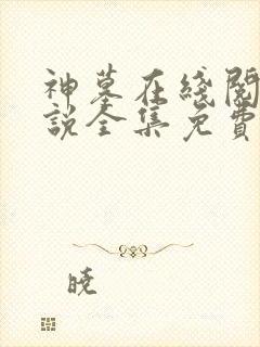 神墓在线阅读小说全集免费