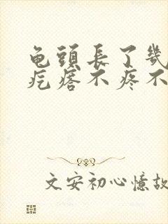 龟头长了几个小疙瘩不疼不痒封面