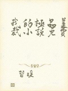 我的极品美女总裁小说免费全集封面