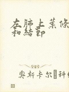 左肺上叶条索影和结节