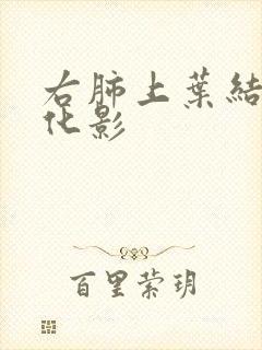 右肺上叶结节钙化影