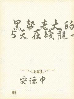 黑帮老大的365天在线观看