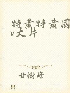 特黄特黄国产av大片