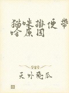 猫咪排便带血是啥原因