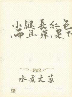 小腿长红色痘痘,而且痒,是什么毛病