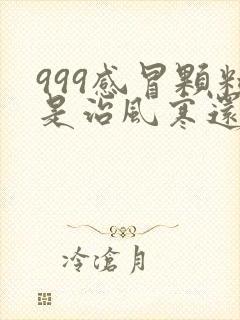 999感冒颗粒是治风寒还是风热感冒