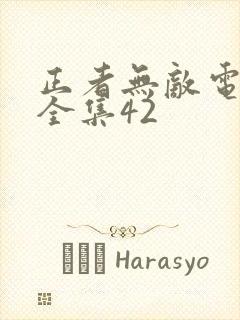 正者无敌电视剧全集42