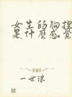 女生的胸捏起来是什么感觉