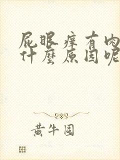 屁眼痒有肉球是什么原因呢