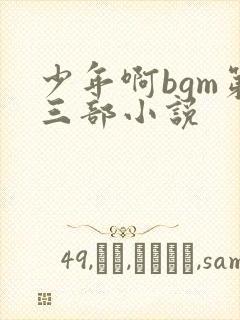 少年啊bgm第三部小说