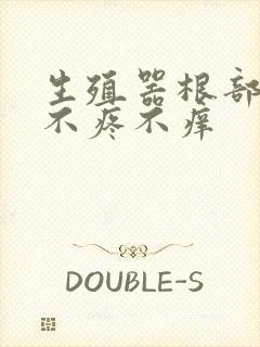 生殖器根部疙瘩不疼不痒