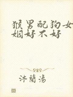 猴男配狗女的婚姻好不好