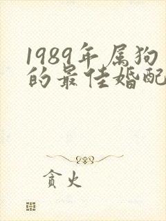 1989年属狗的最佳婚配封面