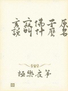 玄寂佛子原著小说叫什么名字