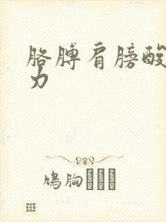 胳膊肩膀酸痛无力