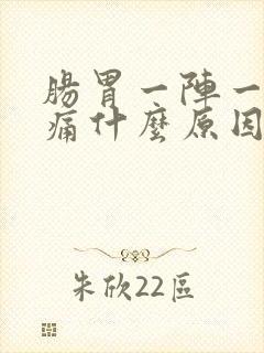 肠胃一阵一阵绞痛什么原因封面