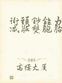 街头钞能力无删减版双胞胎封面