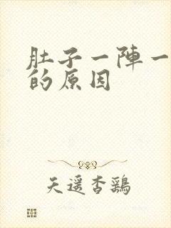 肚子一阵一阵痛的原因