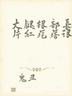 大腿根部长了一片红疙瘩很痒封面