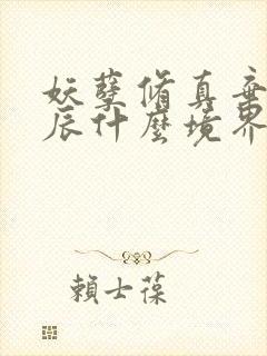 妖孽修真弃少叶辰什么境界