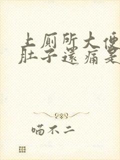 上厕所大便出血肚子还痛是什么原因