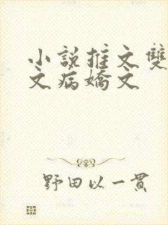 小说推文双男主文病娇文封面