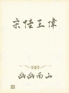 宋佳王伟封面