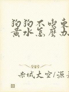 狗狗不吃东西拉黄水怎么办