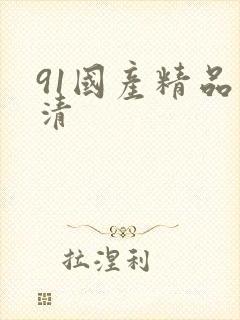 91国产精品高清