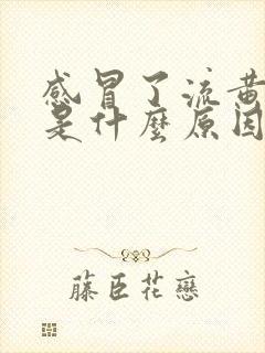 感冒了流黄鼻涕是什么原因