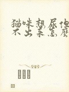 猫咪想尿但是尿不出来怎么办