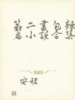 第二书包辣网短篇小说合集