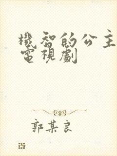 机智的公主殿下电视剧封面