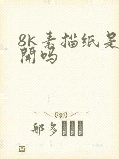 8k素描纸是8开吗