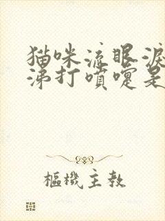 猫咪流眼泪流鼻涕打喷嚏是怎么回事