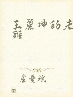 王丽坤的老公是谁