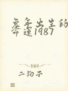 兔年出生的人的命运1987