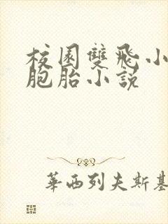 校园双飞小说双胞胎小说封面